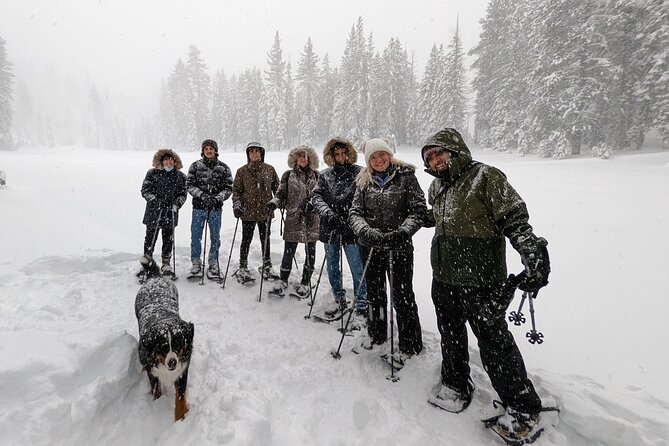 Introductory Snowshoe Shared Experience - Additional Information