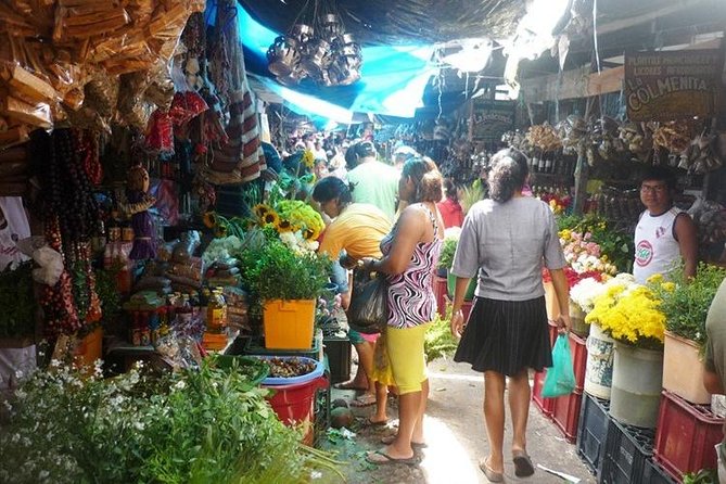 Iquitos City Tour (FULL DAY) - Adventure and Outdoor Activities in Iquitos