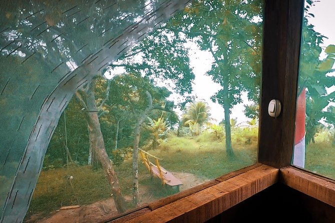 Iquitos in the Jungle 2 Days -1 Night - The Sum Up