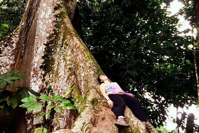 Iquitos, Peru Private 3-Day Amazon Jungle Exploration - Important Information for Travelers
