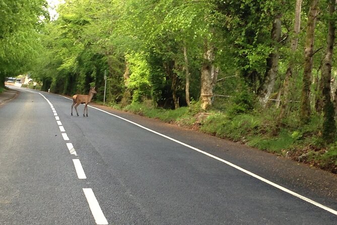 Ireland Private Transfer From Killarney to Galway  - Ring of Kerry - Pickup and Drop-off Locations