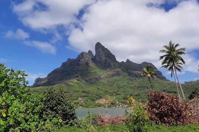 Island Tour & Getaway on the Bora Bora Mountains by Quad / ATV - Tour Experience and Overall Satisfaction