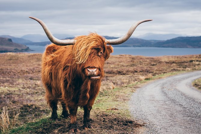 Isle of Skye, the Highlands and Loch Ness - 3 Day Tour From Glasgow - Common Questions