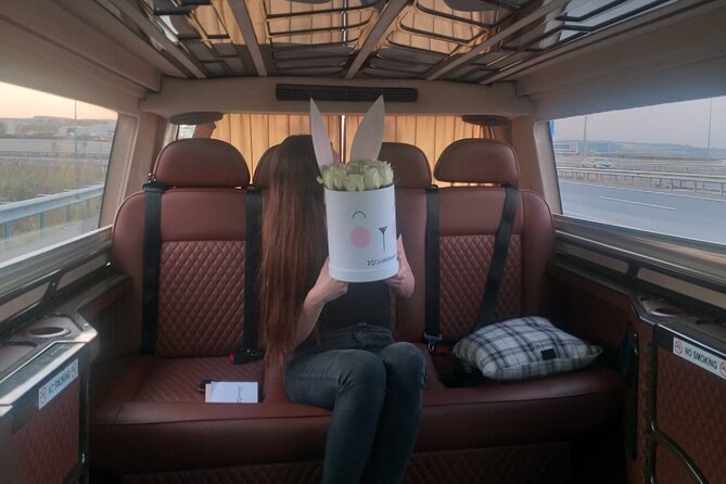 Istanbul Airport Transfer Private Minvan - Traveler Reviews and Recommendations