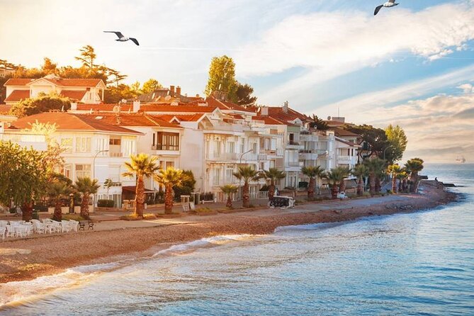 Istanbul Princes Island Tour With Lunch & Hotel Transfer - Additional Information and Pricing