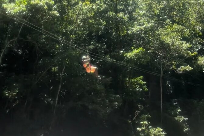 Jamaican South Coast Private Sightseeing Tour With Transport  - Montego Bay - Specific Attractions