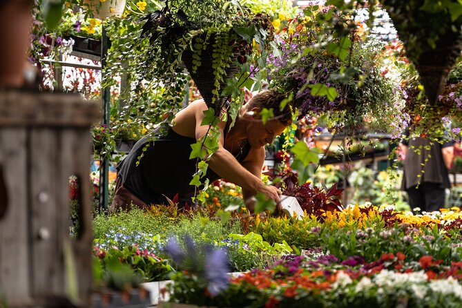Jean-Talon Market & Little Italy Small Group Walking Tour - End Point Details
