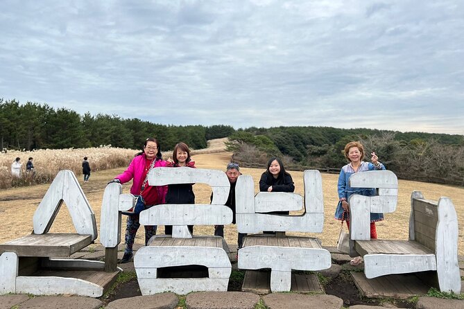 Jeju Island Private Package Taxi Tour - South of Jeju - Transportation Options