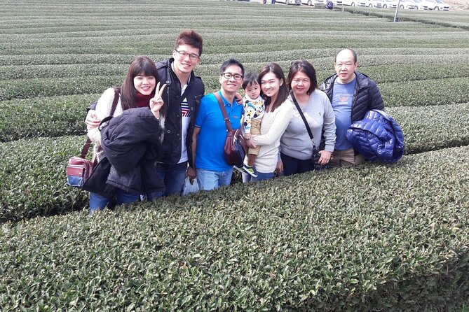 Jeju Island Private Taxi Tour in Osulloc & Innisfree & Iho Beach - Private Taxi Service