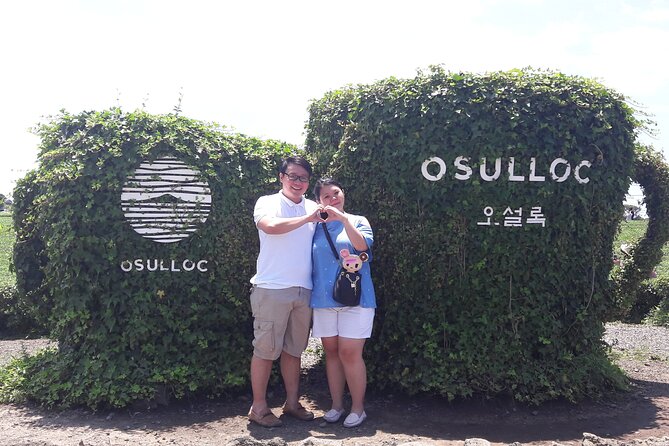 Jeju Private Half-Day Taxi Tour - South of Jeju Island - Booking and Reservation Process