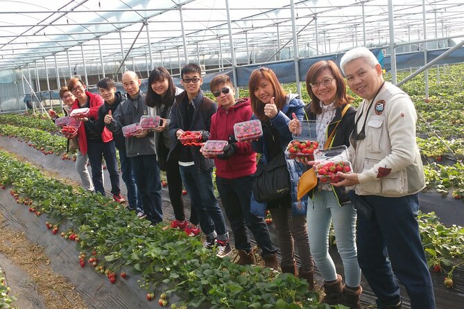 Jeju Private Half-Day Taxi Tour - West of Jeju Island - Contact and Support
