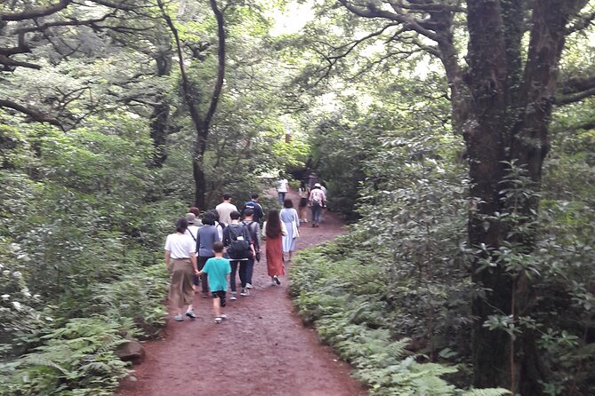 Jeju Private Tour in Woljeongri Beach & Forest & Dongmun Market - Customization Options