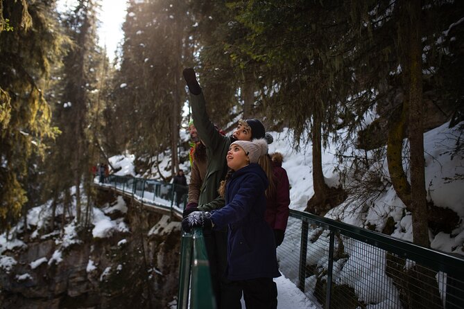 Johnston Canyon Frozen Waterfalls & Banff Backroads Wildlife Tour - End Point and Cancellation Policy