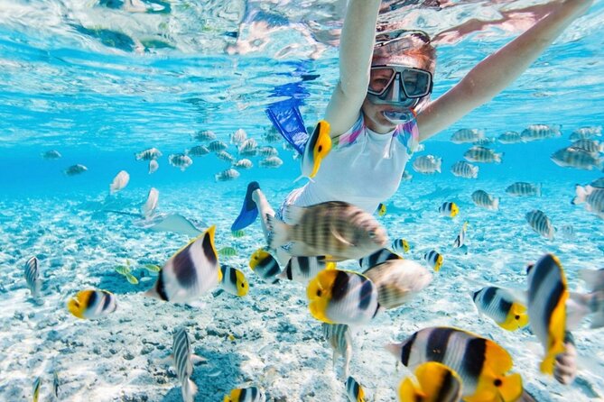 Join Group Tour Nha Trang Snorkeling Included Lunch Onboard - Customer Reviews and Ratings