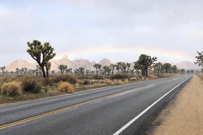 Joshua Tree National Park Scenic Tour - Meeting and Pickup Details