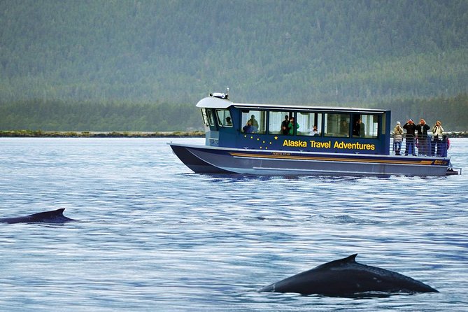 Juneau Whale Watching Adventure - Location and Directions