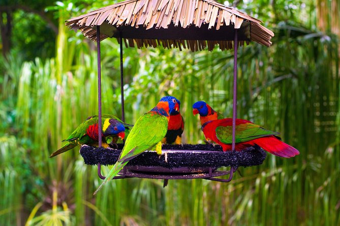 Jurong Bird Park Bird Photography - Photography Techniques Covered