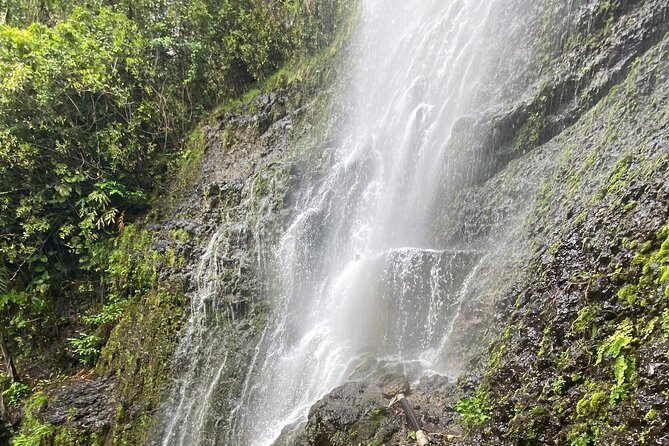 Kahului Private Half-Day Waterfall and Rain Forest Tour  - Maui - Explore the Lush Landscapes