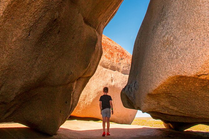 Kangaroo Island Iconic Sights and Wildlife Full-Day Tour - Directions to the Meeting Point