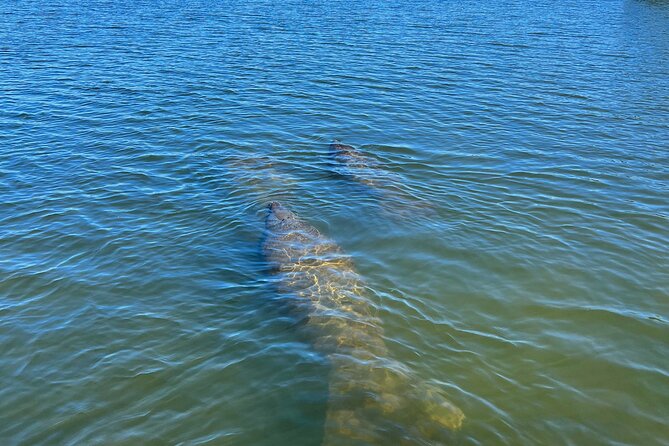 Kayak Eco Tour in Don Pedro Island - Additional Information