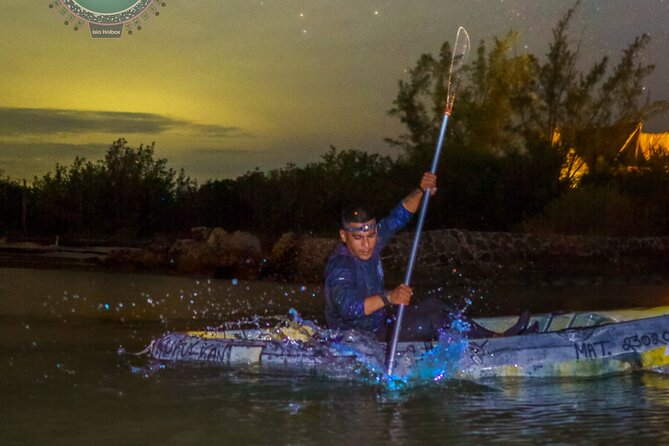 Kayak Experience and Swiming With the Bioluminescence in Holbox - Negative Experiences and Reviews