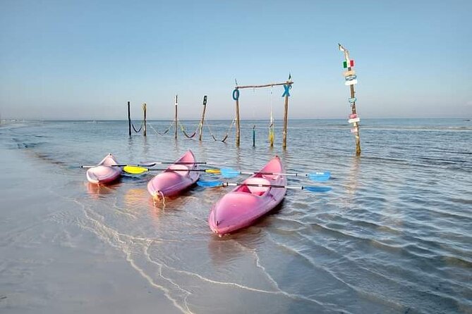 Kayak Experience in the Mangroves of Holbox Island - Observe Indigenous Species