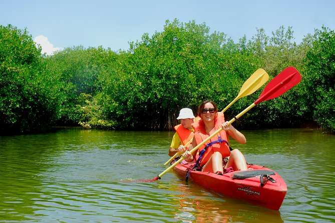 Kayak Lagoon Tour - Traveler Photos, Reviews, and Pricing