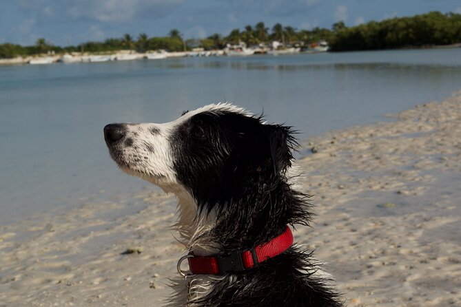 Kayak Merida - Schedule and Policies