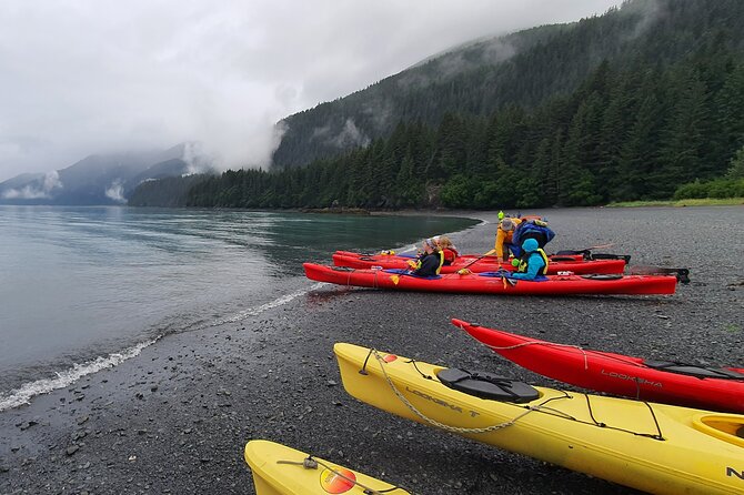 Kayak Paddle on Resurrection Bay - Wildlife Sightings