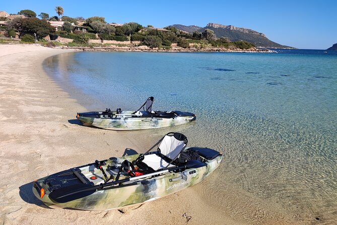 Kayak Tour in Golfo Aranci With Aperitif and Dolphin Watching - Cancellation Policy