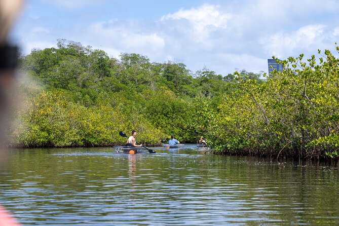 Kayak Tour in North Miami Beach - Mangrove Tunnels - Physical Requirements and Weight Limit