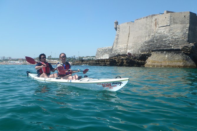 Kayak Tour of Lisbon - Skill Level and Accessibility