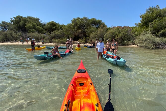 Kayak Tour: Porto Cesareo and the Marine Protected Area - Directions