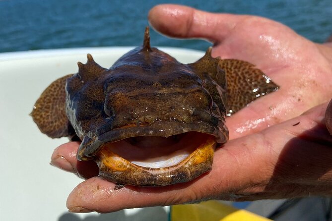 Kayak Tours With Amazing Caves, Sea Life and Marine Biologist . - Directions