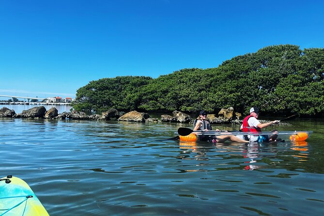Kayaking Clear Through Clearwater - Whats Included and What to Expect