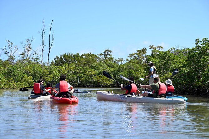 Kayaking Tour of Mangrove Tunnels in South Florida  - Fort Lauderdale - Tour Highlights