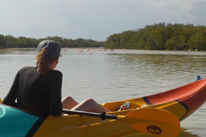 Kayaking Tour Through the Mangroves in Isla Holbox - Scenery