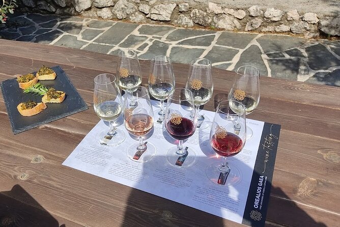 Kefalonia Half Day Private Tour & Shore Excursion - Reviews and Testimonials