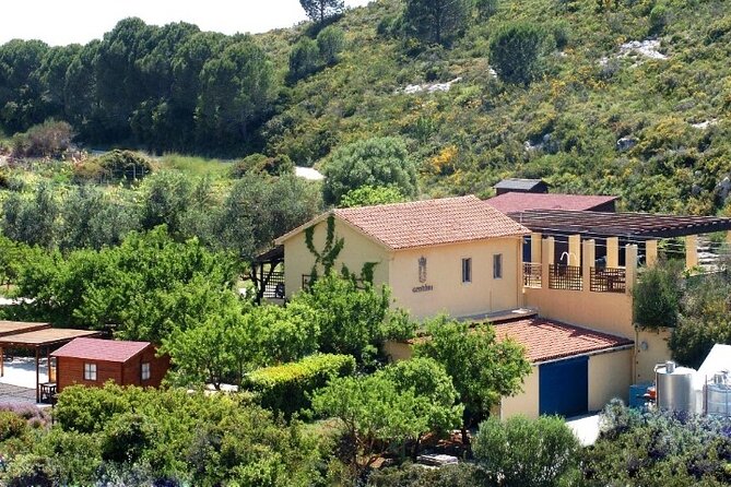 Kefalonia Private Wine Tour - Miscellaneous