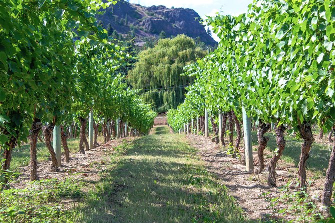 Kelowna or West Kelowna Afternoon Sightseeing Wine Tour - Discover Wines Grown in Volcanic Soil