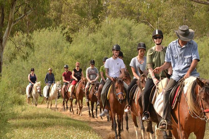 Kemer Horse Safari Experience With Free Hotel Transfer - Group Size and Tour Availability