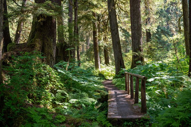 Ketchikan Magical Old-Growth Creek Trek Guided Tour - Directions