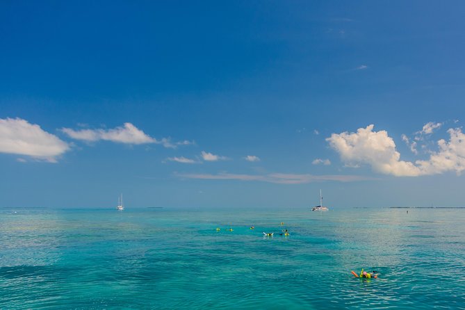 Key West Florida Reef Half-Day Snorkeling Excursion - Additional Information
