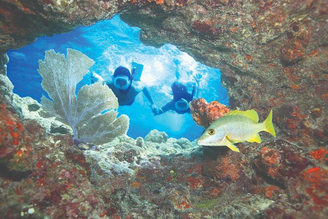 Key West Multi-Stop Reef Snorkeling Boat Tour by Catamaran - Experience and Itinerary