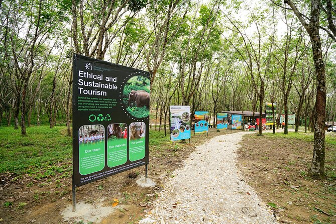 Khaolak Elephant Sanctuary Tour With ATV Bike and Lunch - Tour Highlights