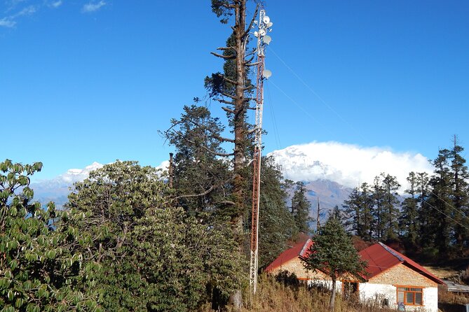 Khopra Danda Trek Hot Spring - Accommodation and Meals