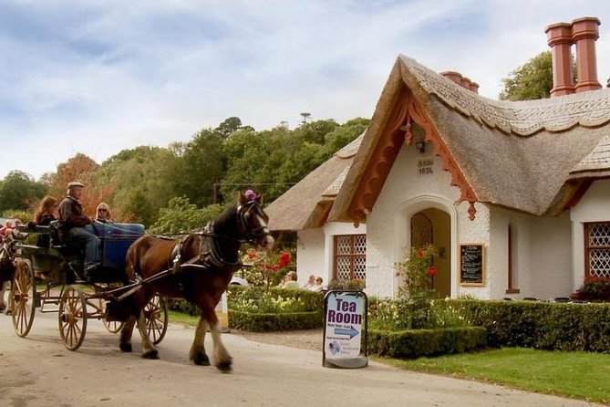 Killarney Jaunting Car Tour With Craft Brewery Beer & Pizza - End Point and Cancellation Policy