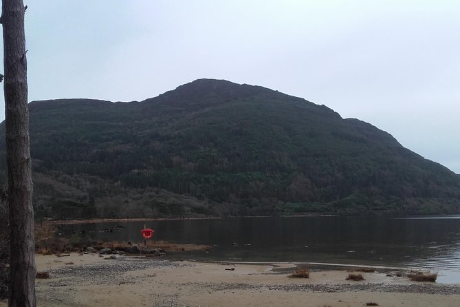Killarney Valley & National Park Tour - End Point Details and Post-Tour Arrangements