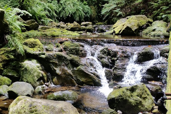 Kings Levada - São Jorge - Reviews and Ratings for Kings Levada Experience