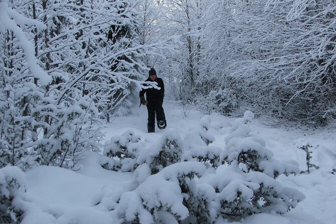 Kiruna Small-Group Snowshoe Activity - Snowshoeing Experience